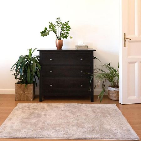 Central Szeged Apartment 外观 照片